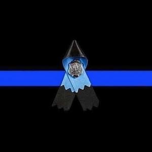 Meet your Posher, Mitch